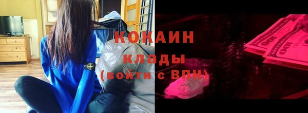 индика Бородино