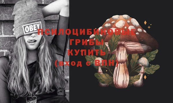 синтетический гашиш Верхний Тагил